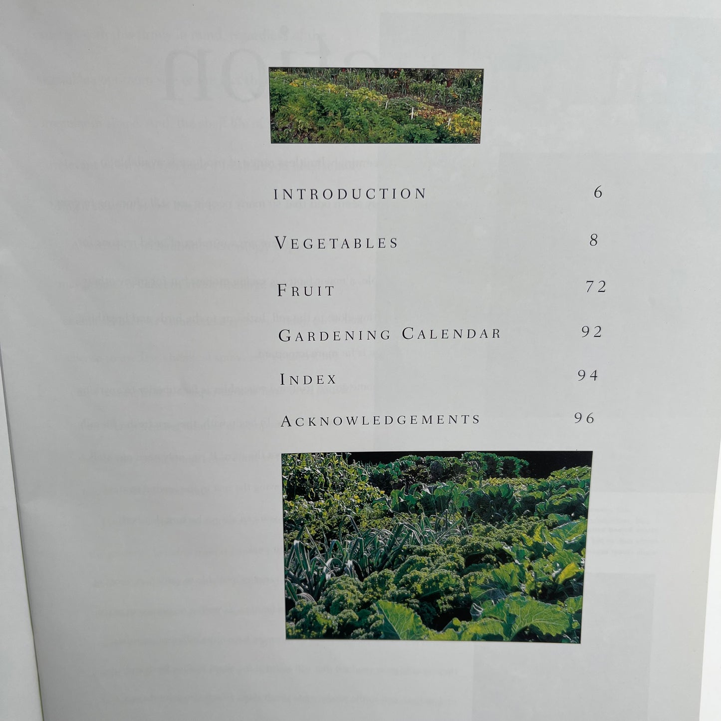 Easy to grow vegetables and fruit: A practical guide to kitchen gardening - Bird - Condition Detail 4