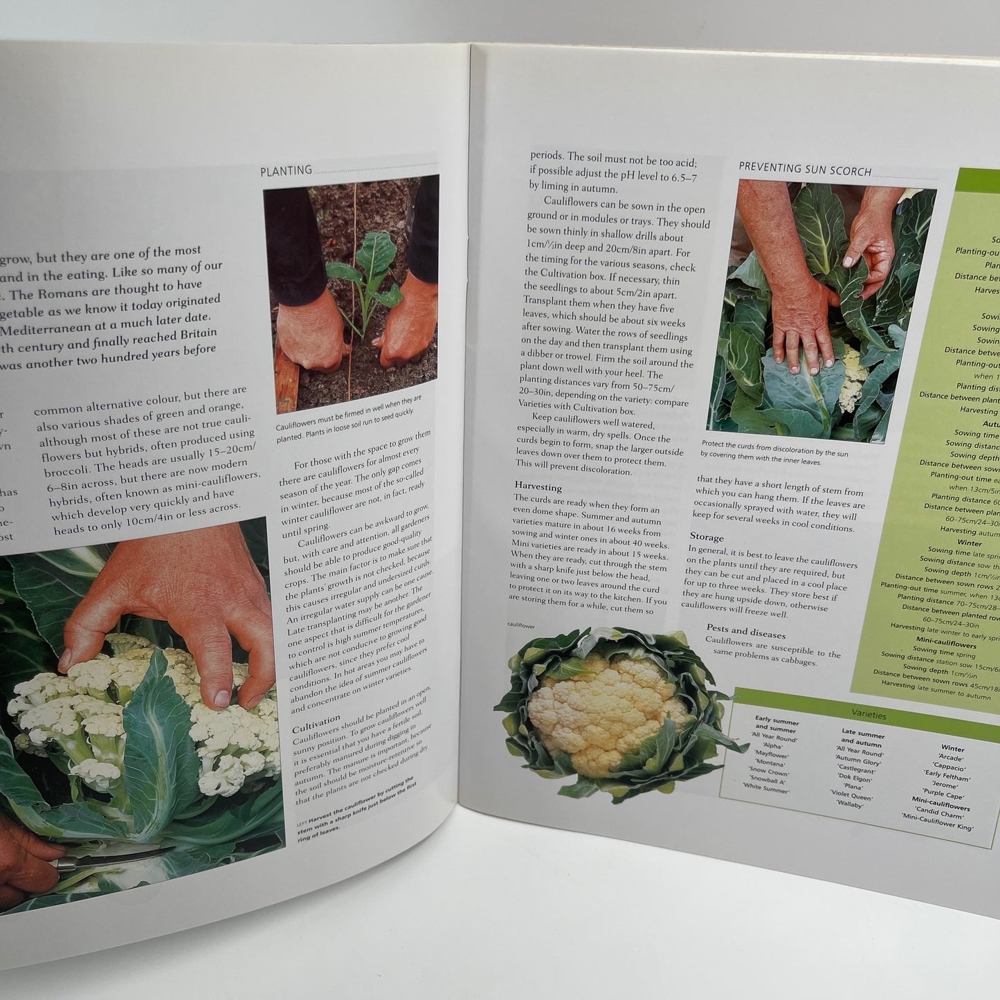 Easy to grow vegetables and fruit: A practical guide to kitchen gardening - Bird - Condition Detail 5