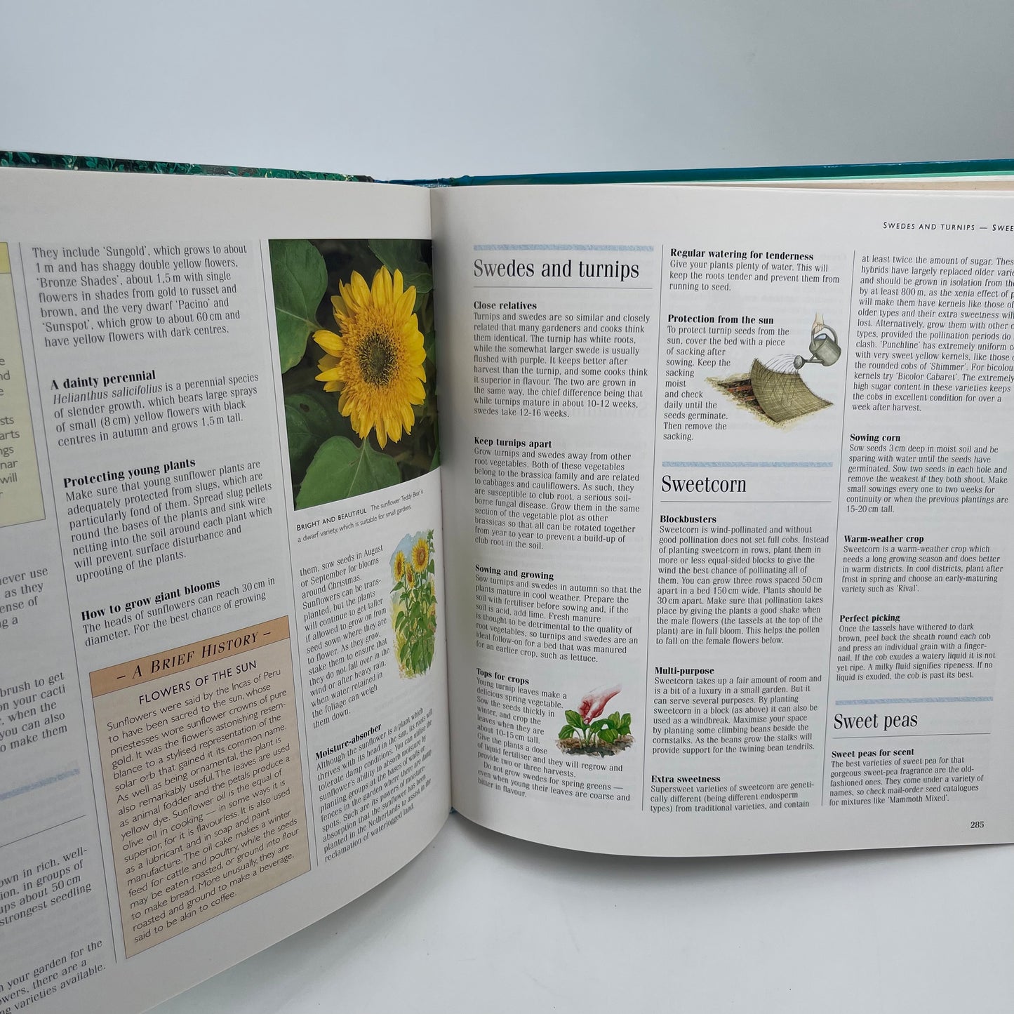 1001 Hints and Tips for Your Garden - - Bottom Edge