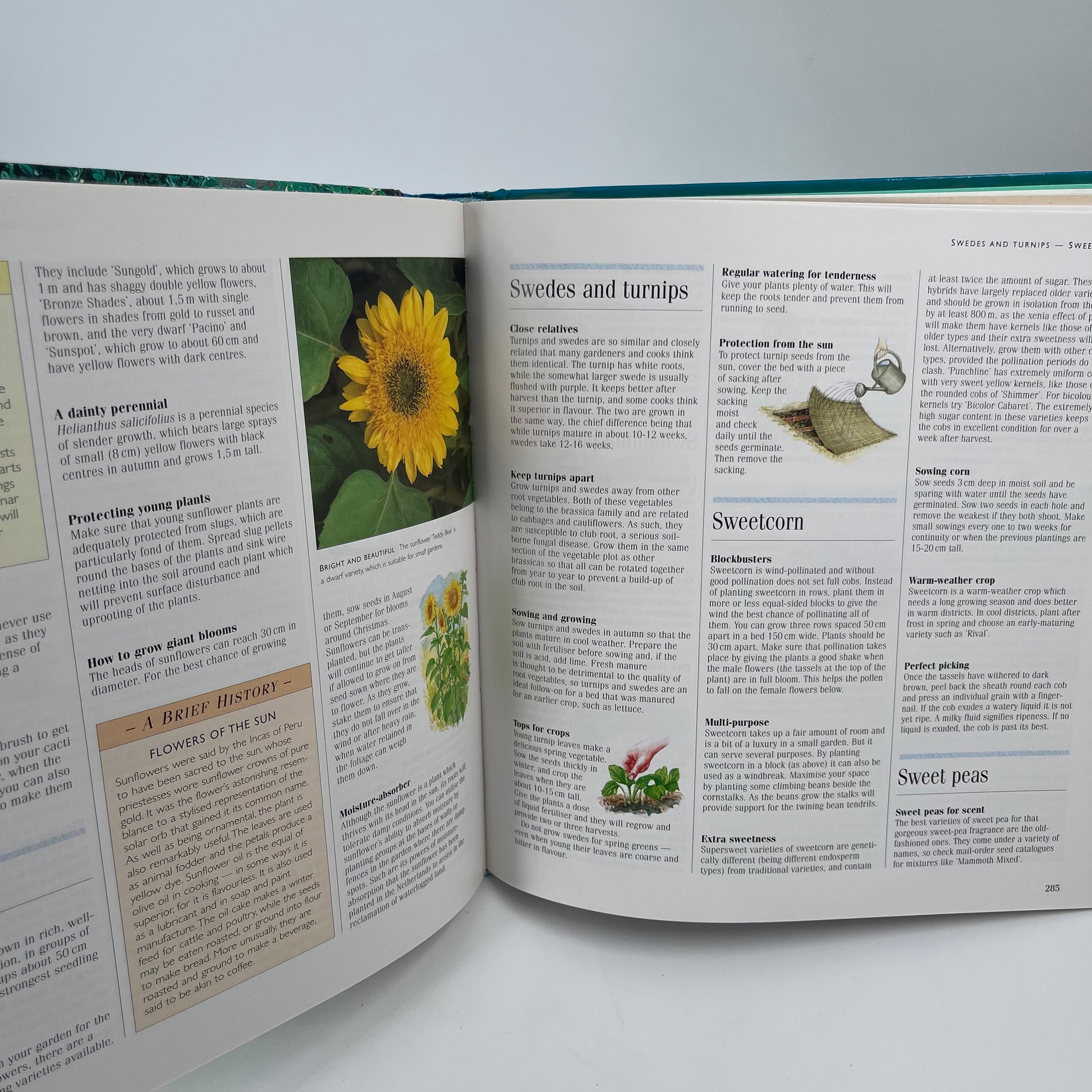 1001 Hints and Tips for Your Garden - - Bottom Edge