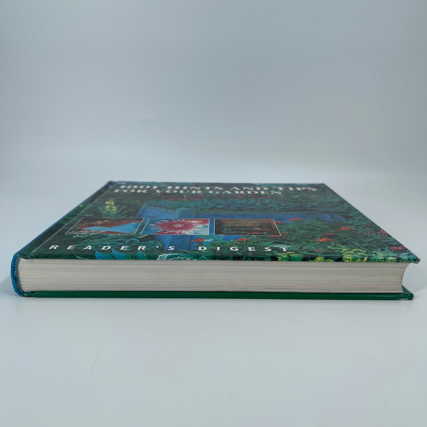 1001 Hints and Tips for Your Garden - - Condition Detail 1