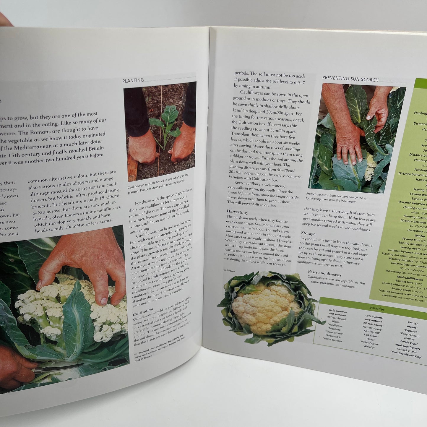 A-Z van tuinblomme in Suid-Afrika - Kristo Pienaar - Top Edge