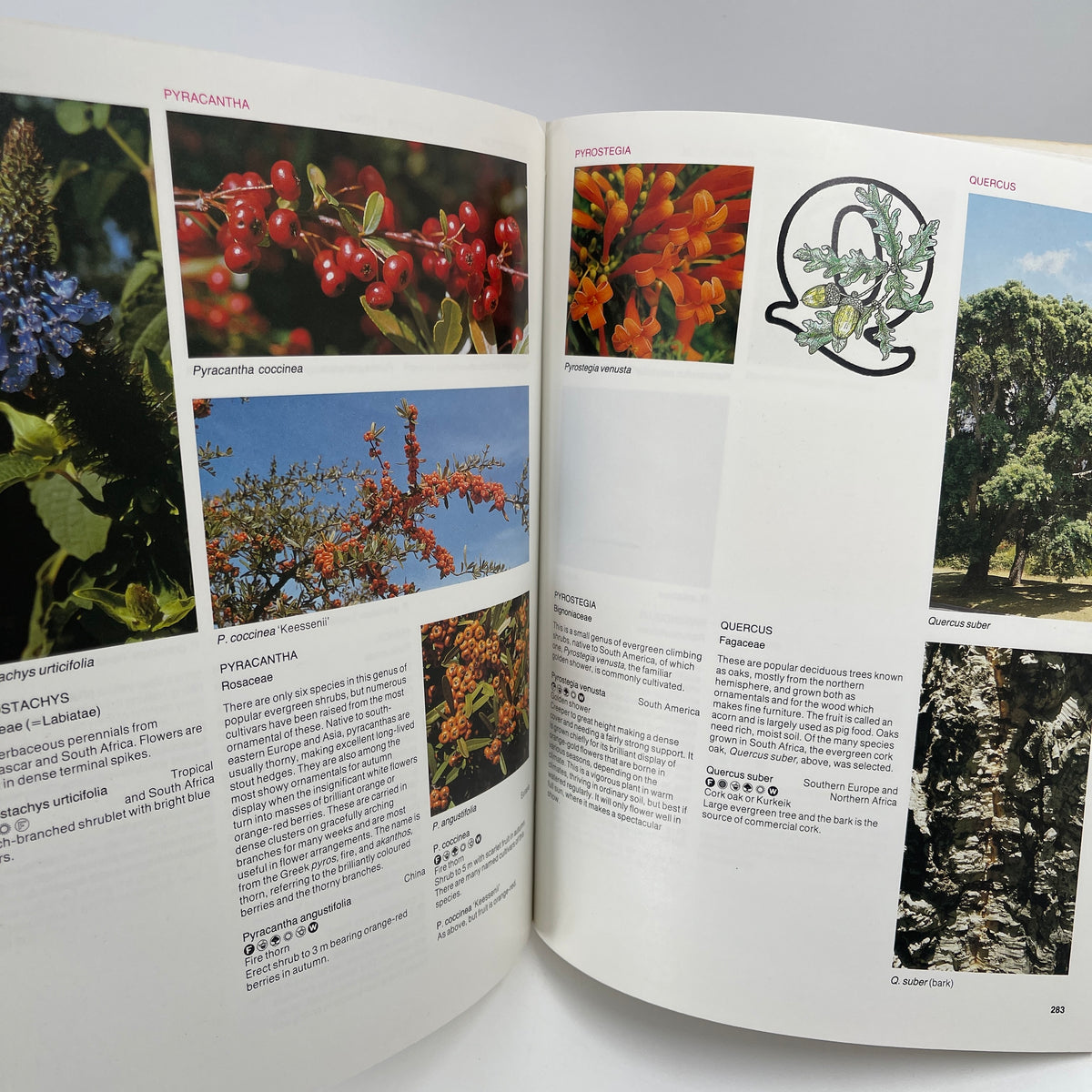 A-Z of garden flowers in South Africa - Pienaar - Back Cover