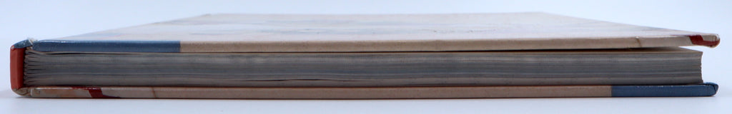 Skeppende naaldwerk vir binneversiering - Martini Nel