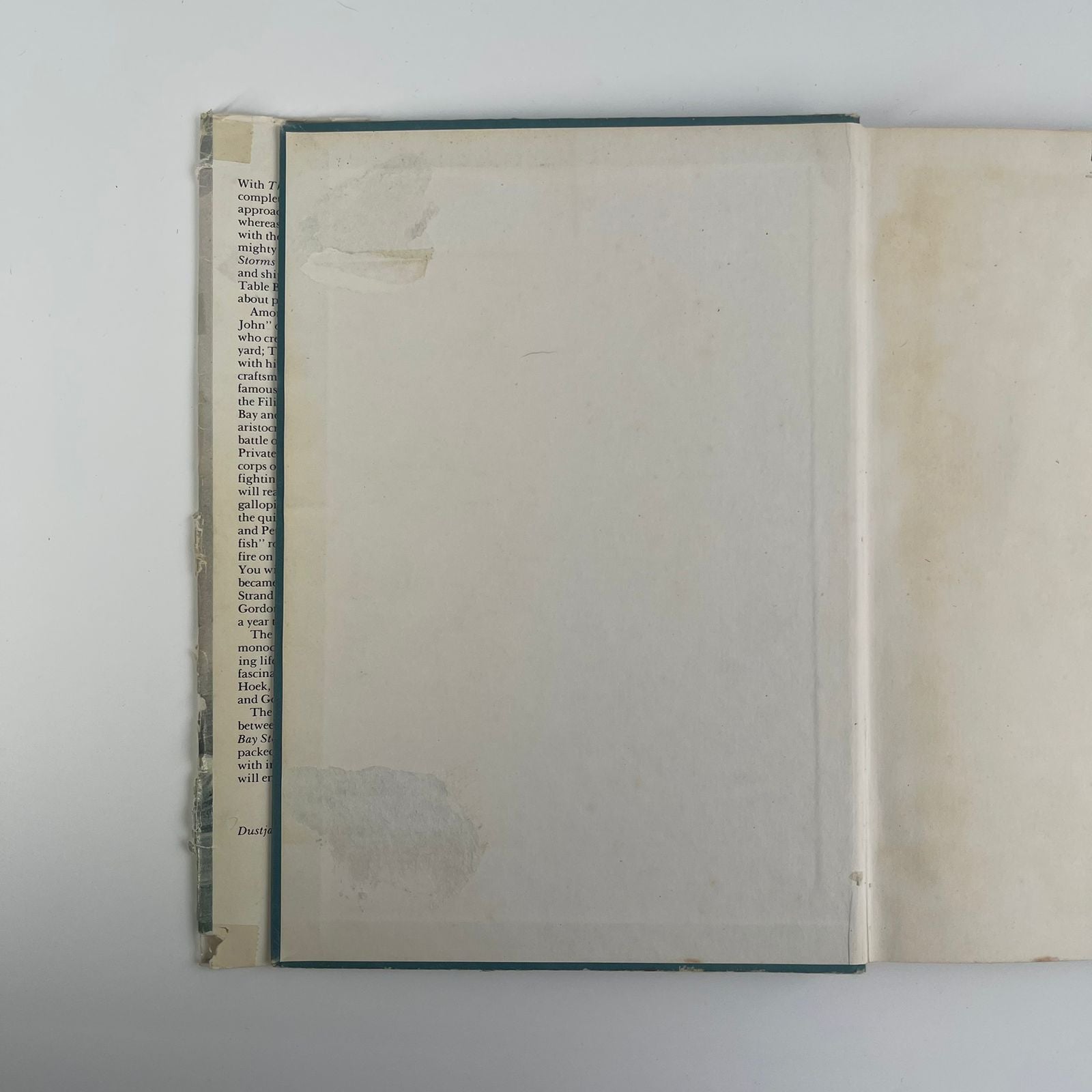 The False Bay Story - Jose Burman