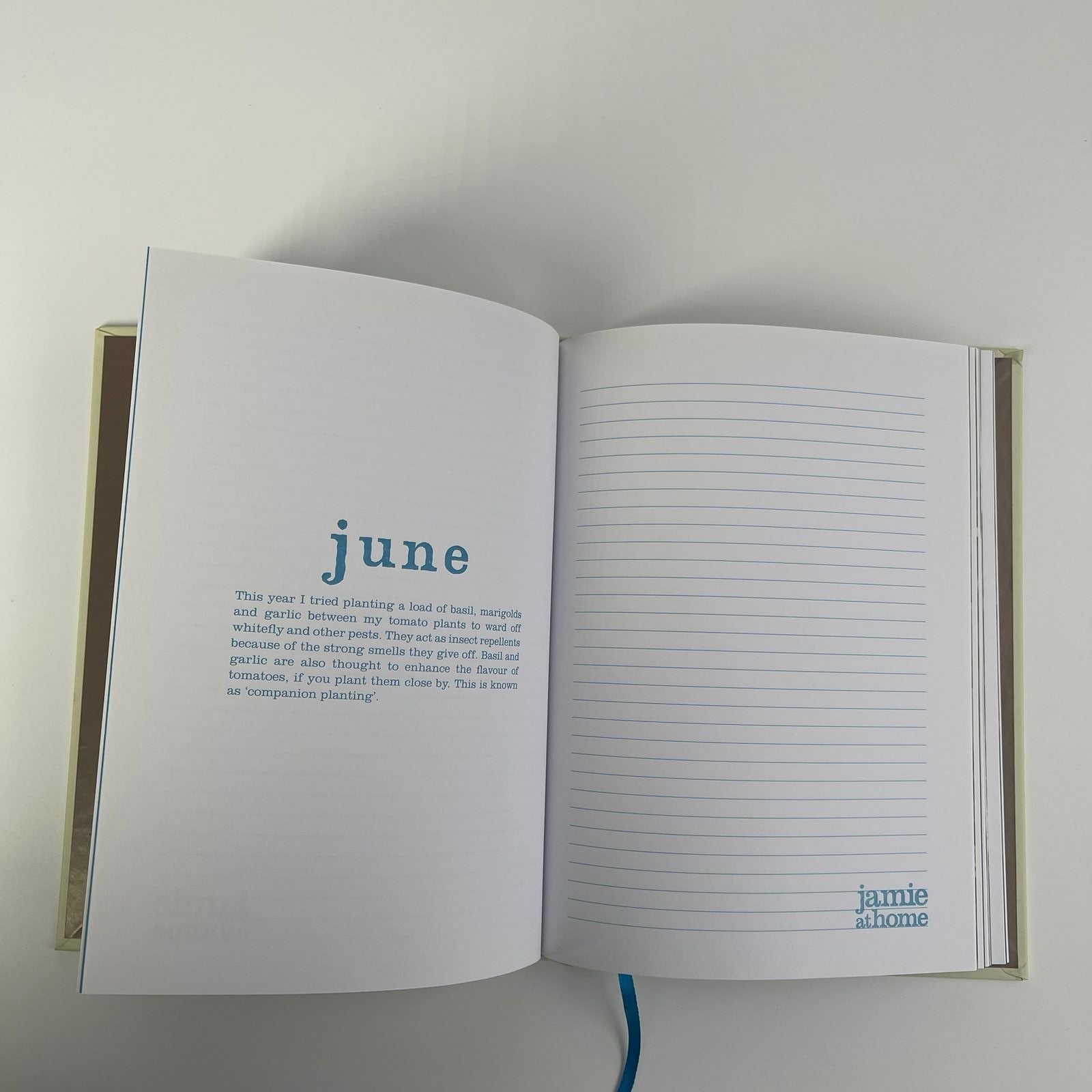 Jamie Oliver Journal - Jamie Oliver