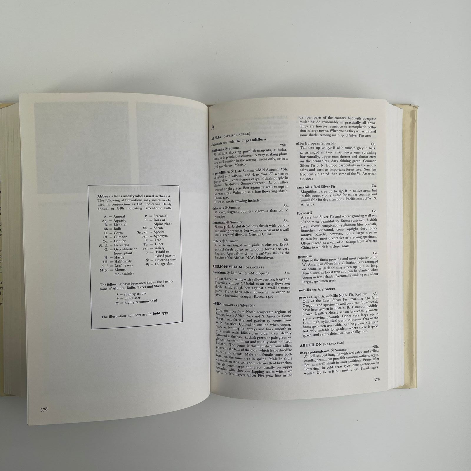 The Colour Dictionary of Garden Plants: With House and Greenhouse Plants - Roy Hay & Patrick Millington Synge