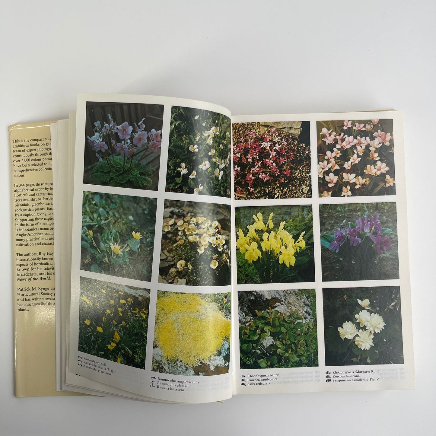The Colour Dictionary of Garden Plants: With House and Greenhouse Plants - Roy Hay & Patrick Millington Synge