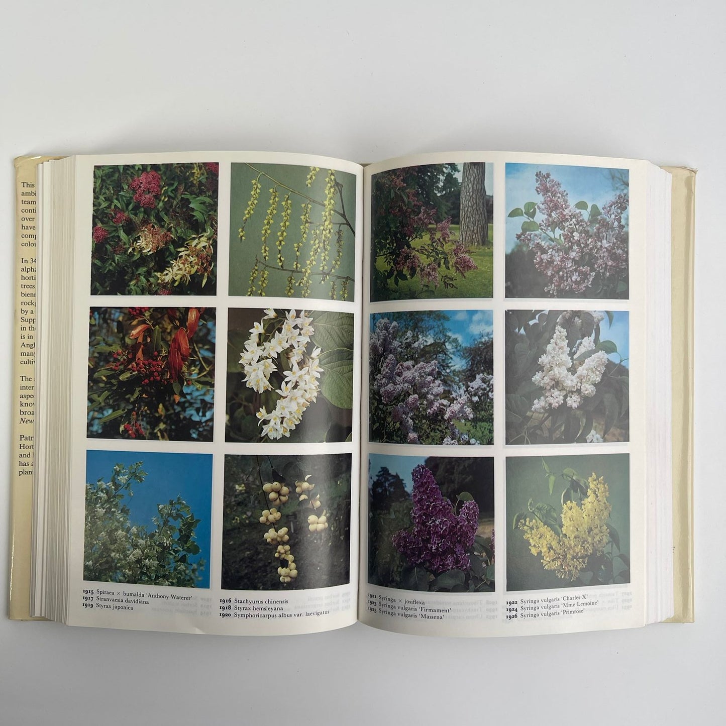 The Colour Dictionary of Garden Plants: With House and Greenhouse Plants - Roy Hay & Patrick Millington Synge