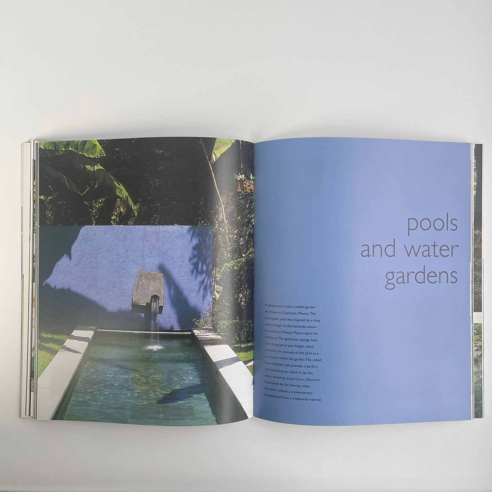 The Minimalist Garden - Christopher Bradley-Hole