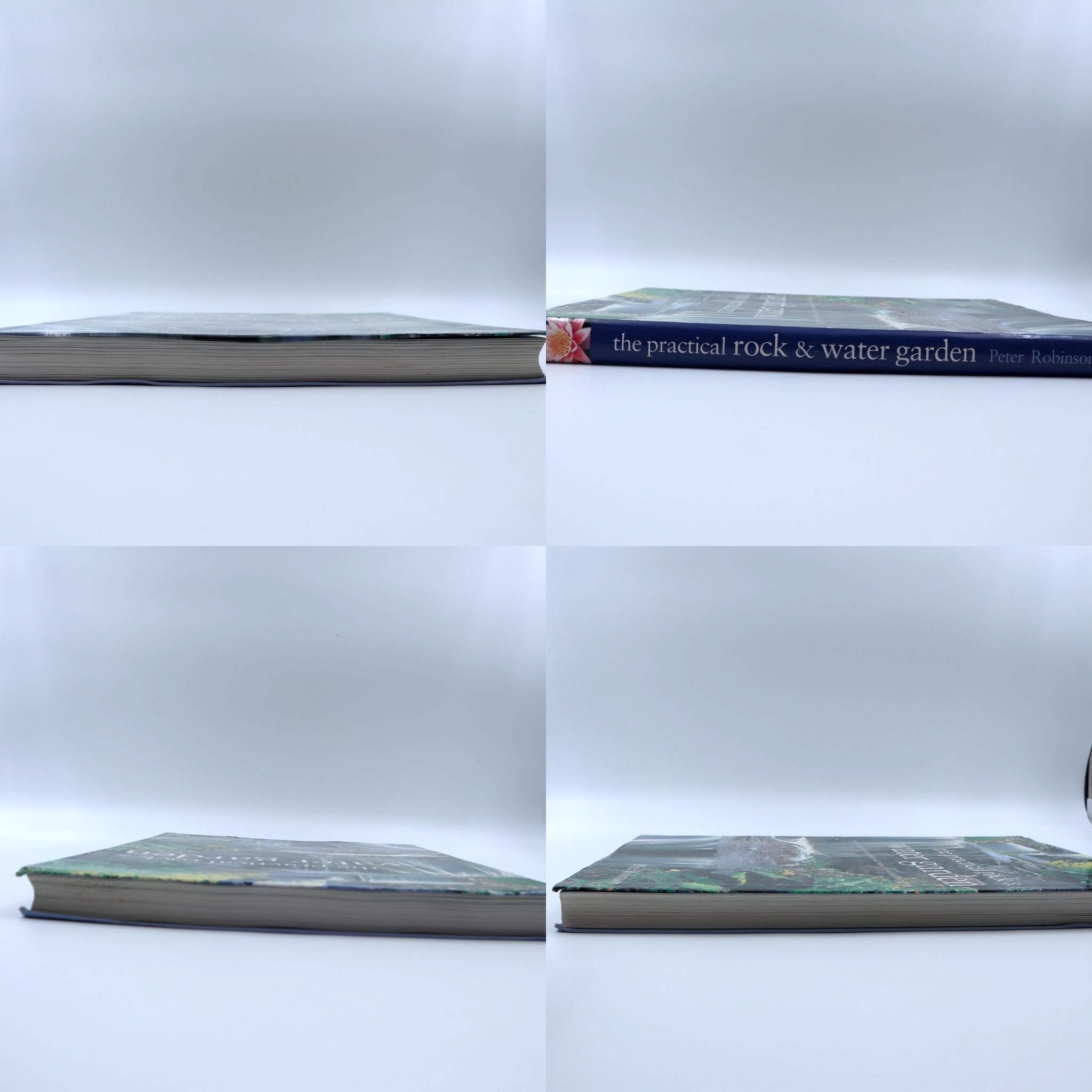 Practical Rock and Water Garden: A Step-by-Step Guide from Planning and Construction to Plants and Planting - Peter Robinson