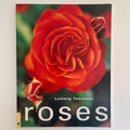 Roses - Ludwig Taschner