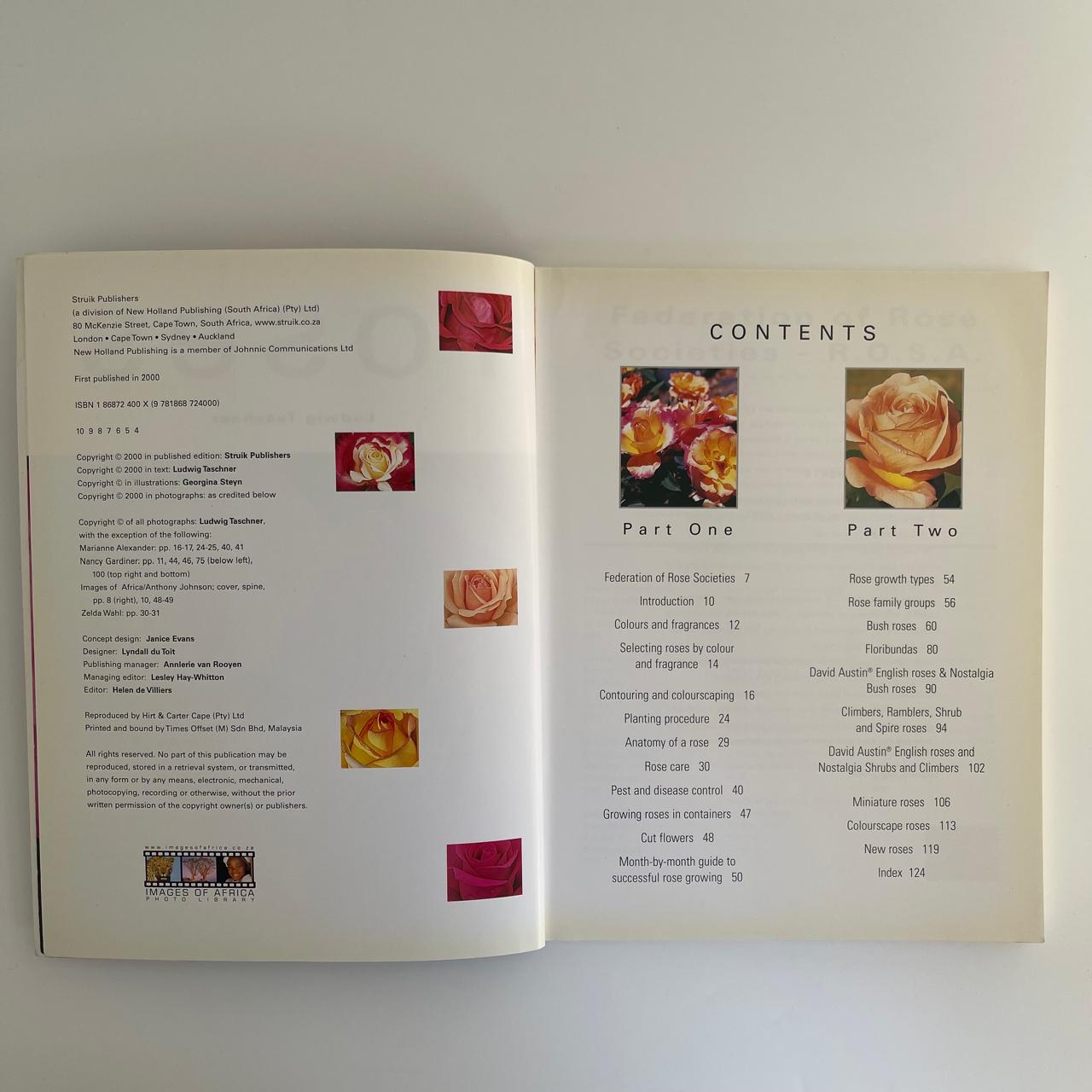 Roses - Ludwig Taschner