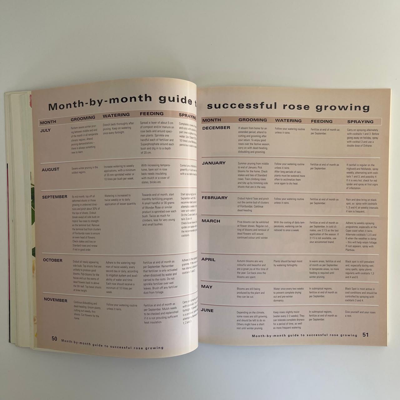 Roses - Ludwig Taschner