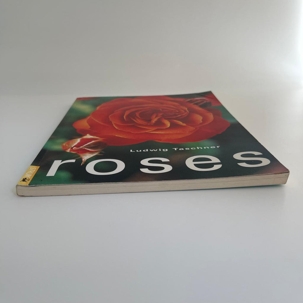 Roses - Ludwig Taschner