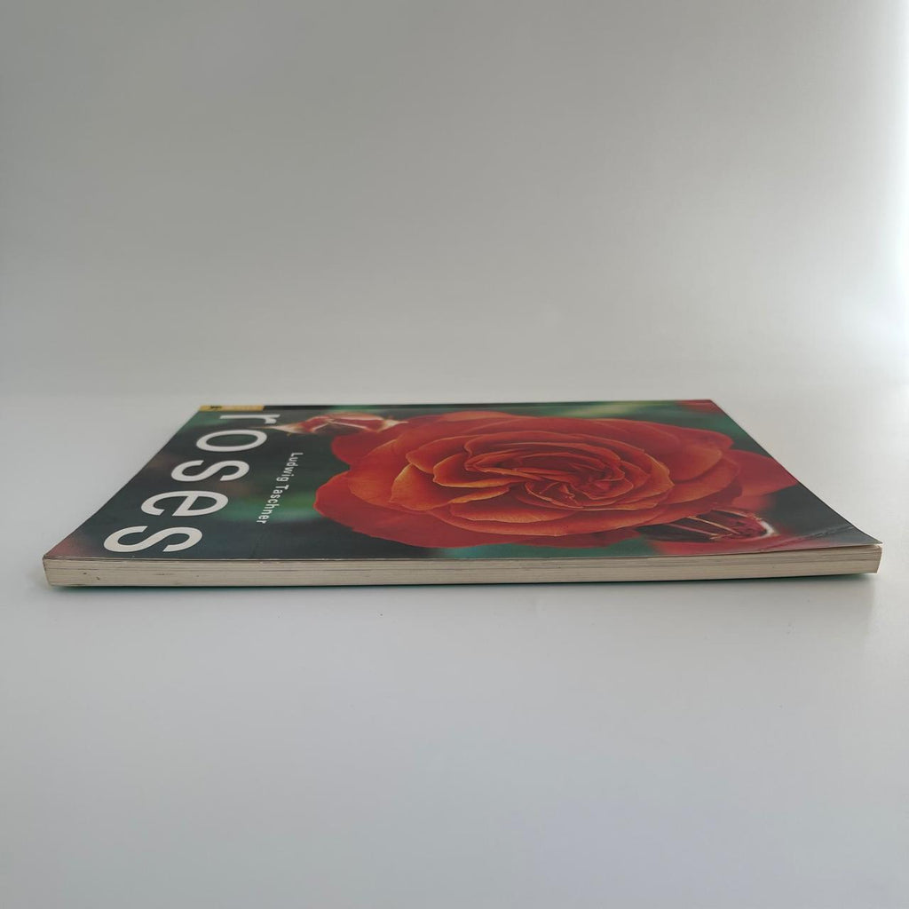 Roses - Ludwig Taschner