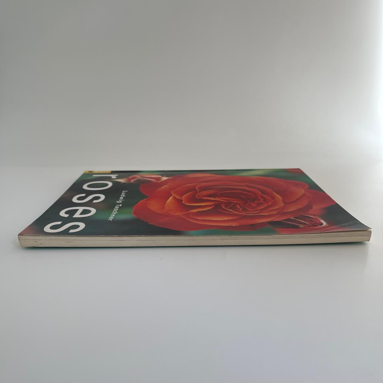 Roses - Ludwig Taschner