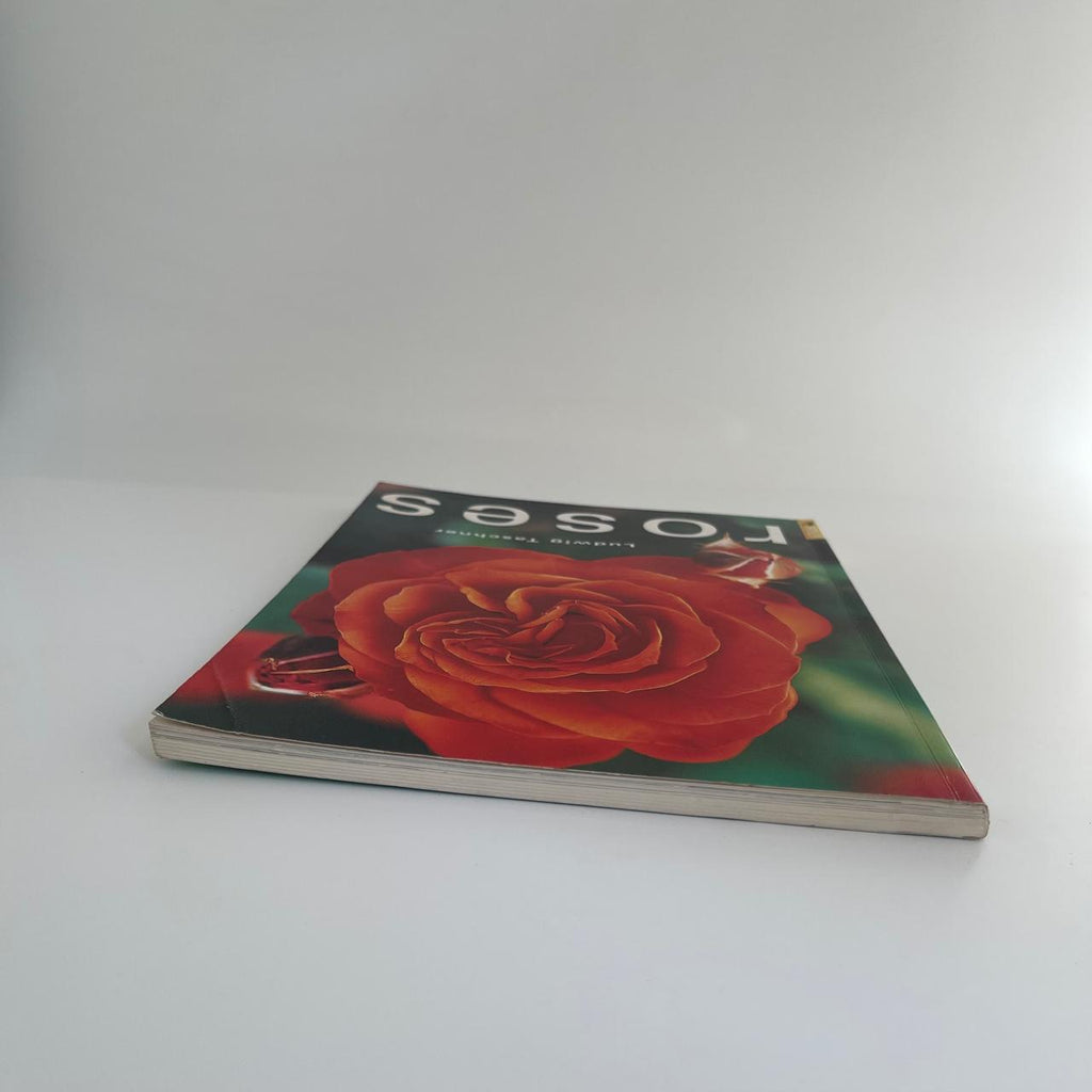 Roses - Ludwig Taschner