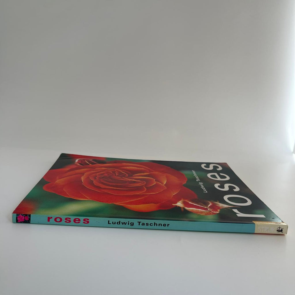 Roses - Ludwig Taschner