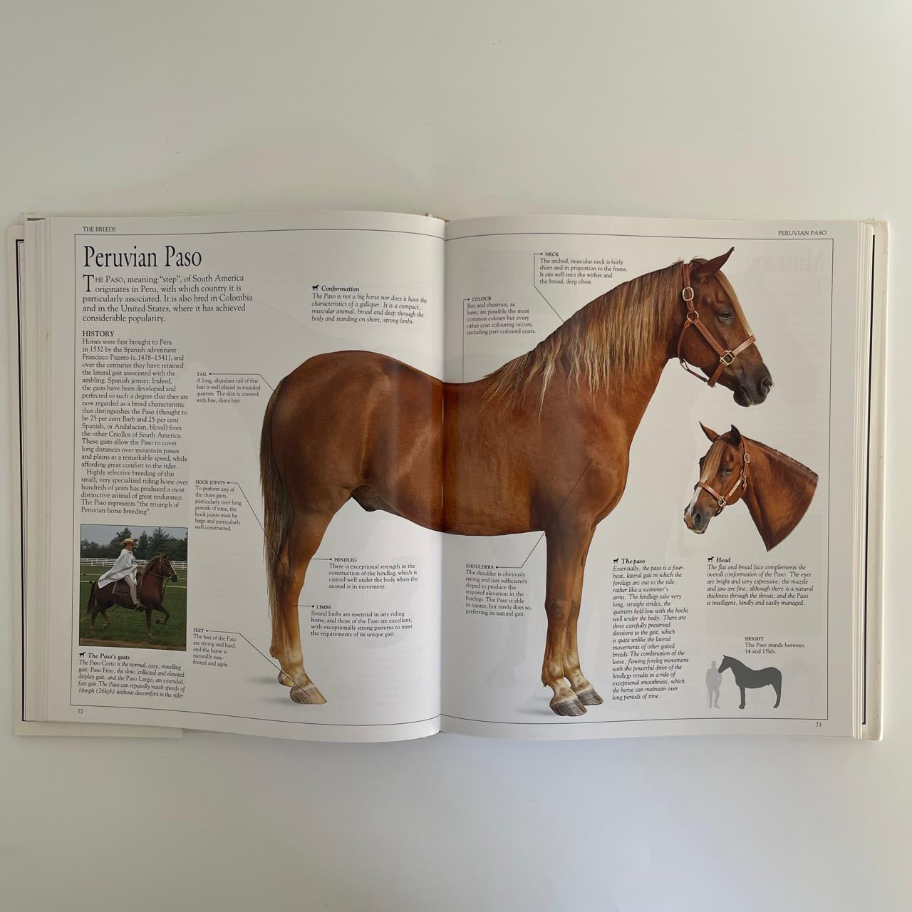 The Ultimate Horse Book - Elwyn Hartley Edwards