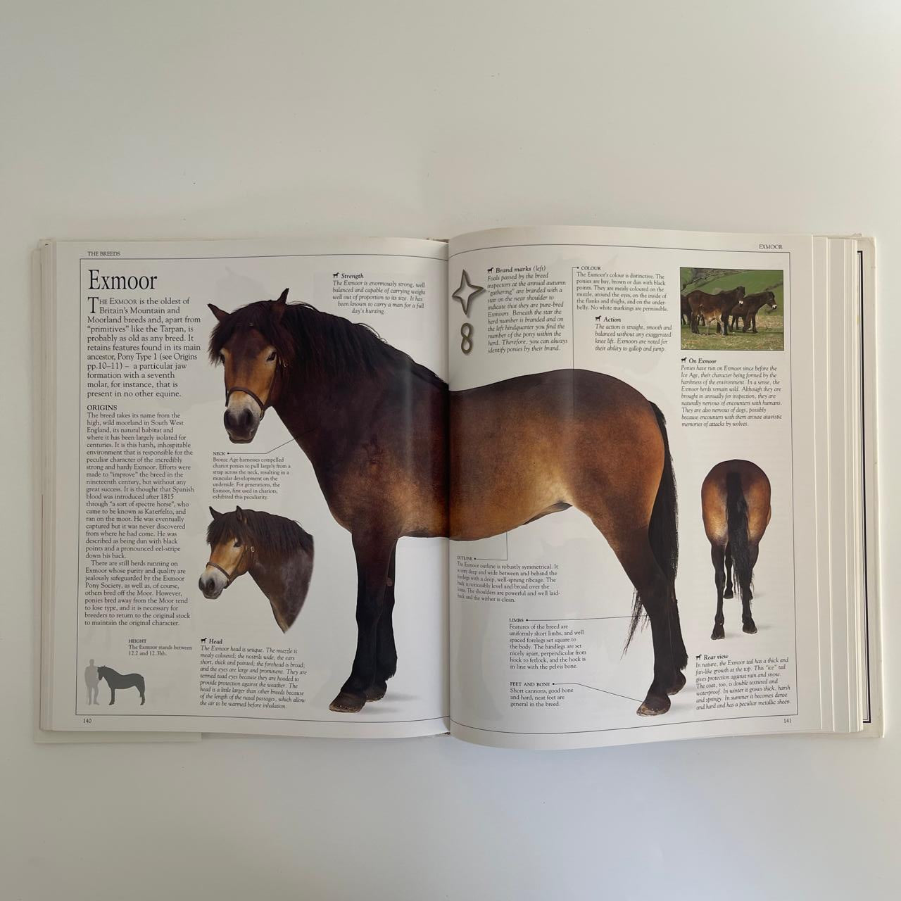 The Ultimate Horse Book - Elwyn Hartley Edwards