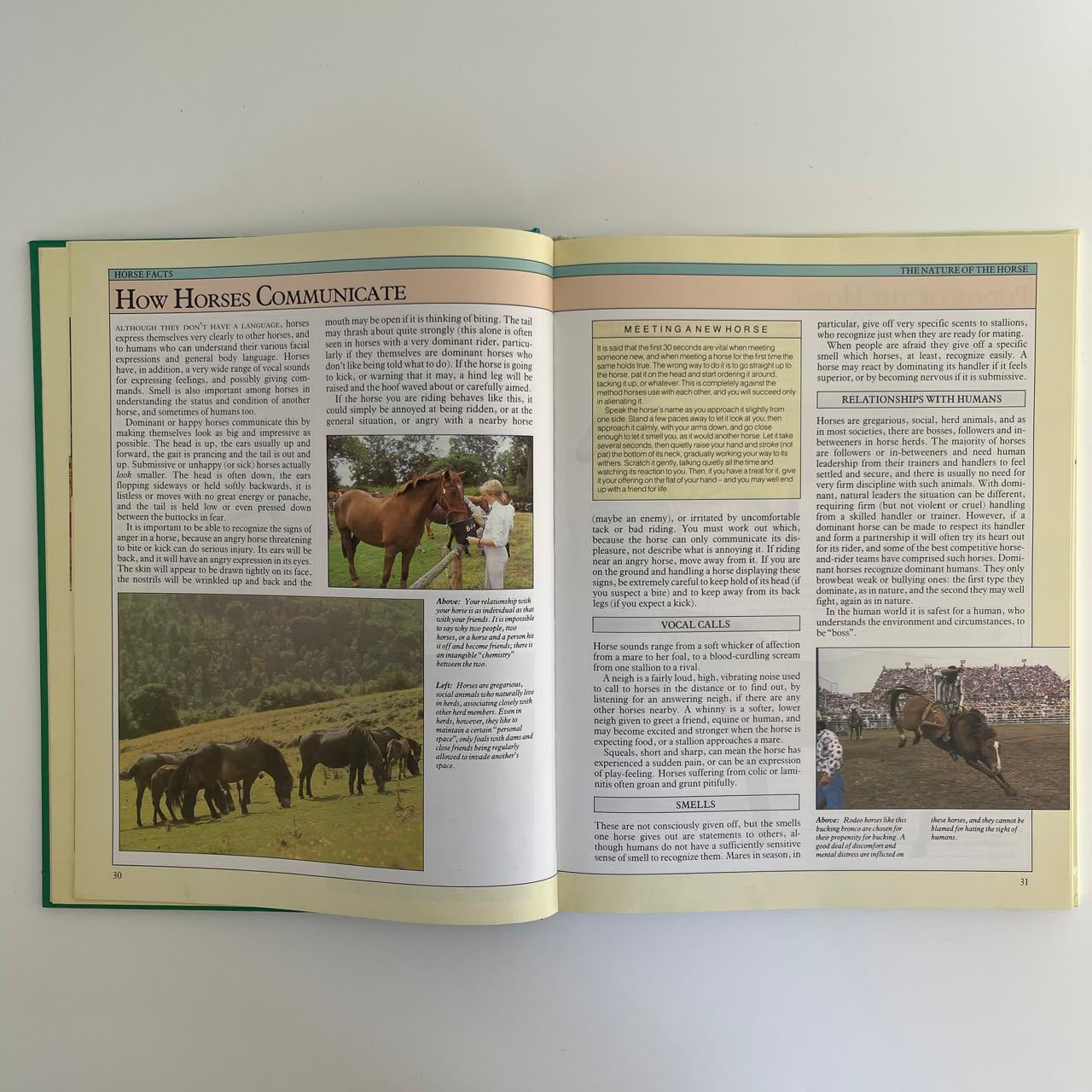 Horse Facts - Susan McBane & Helen Douglas‑Cooper