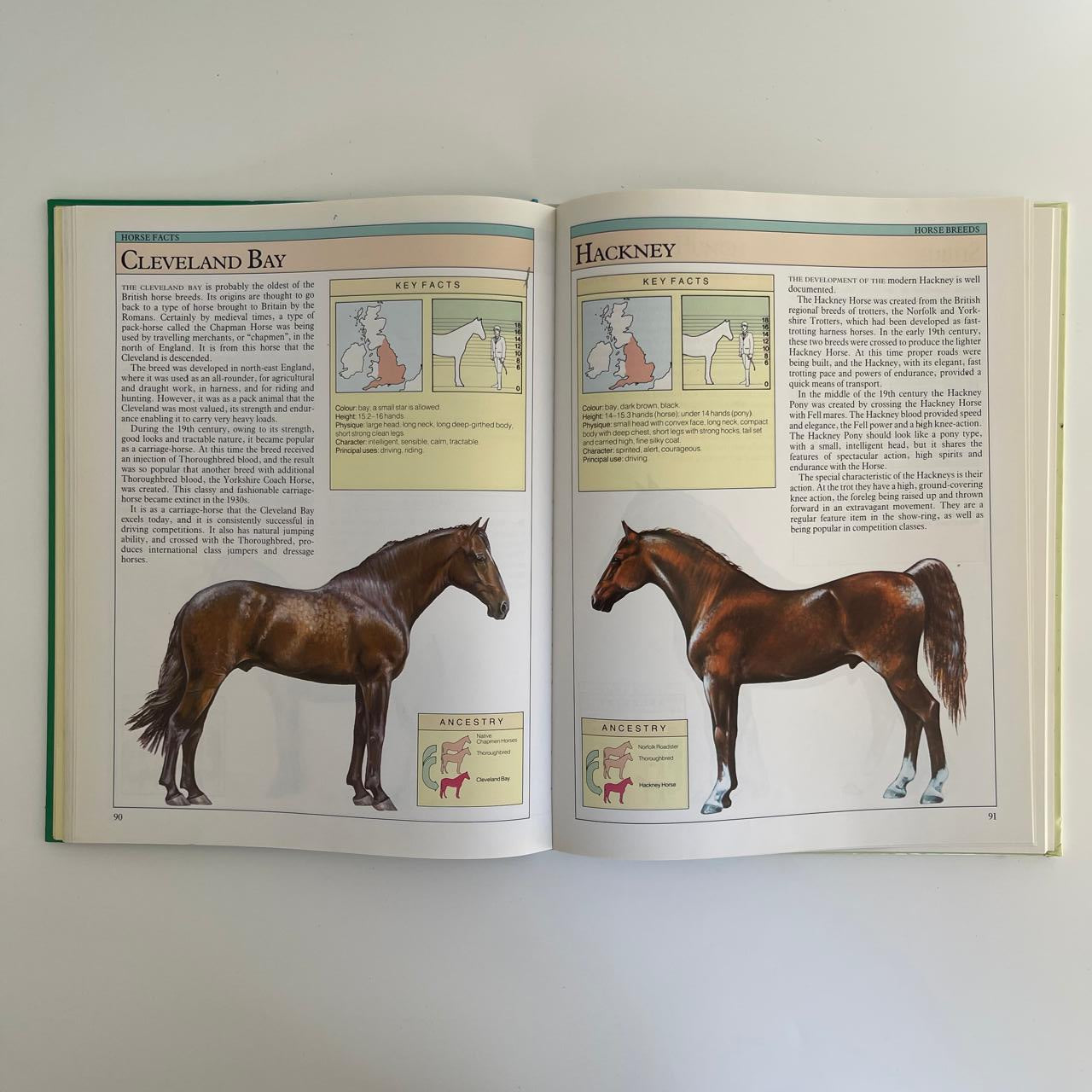 Horse Facts - Susan McBane & Helen Douglas‑Cooper