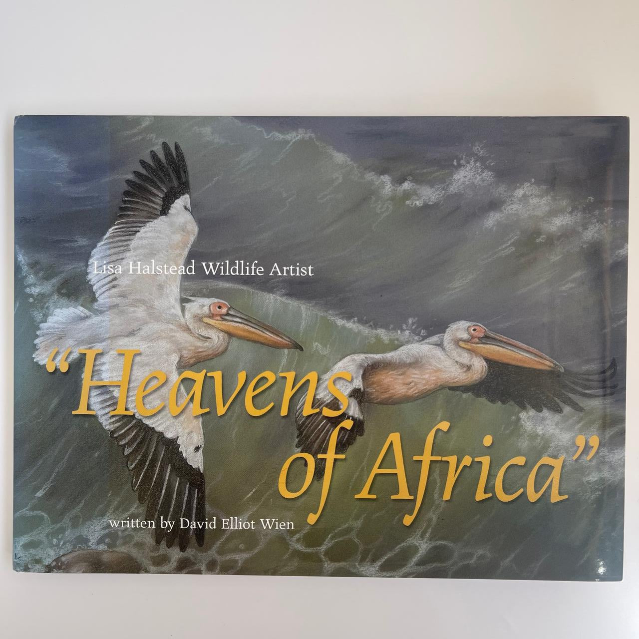 Heavens of Africa - David Elliot Wien (with artist Lisa Halstead)