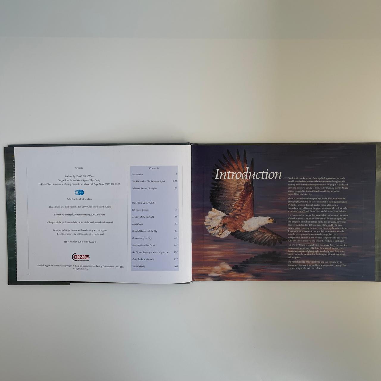 Heavens of Africa - David Elliot Wien (with artist Lisa Halstead)