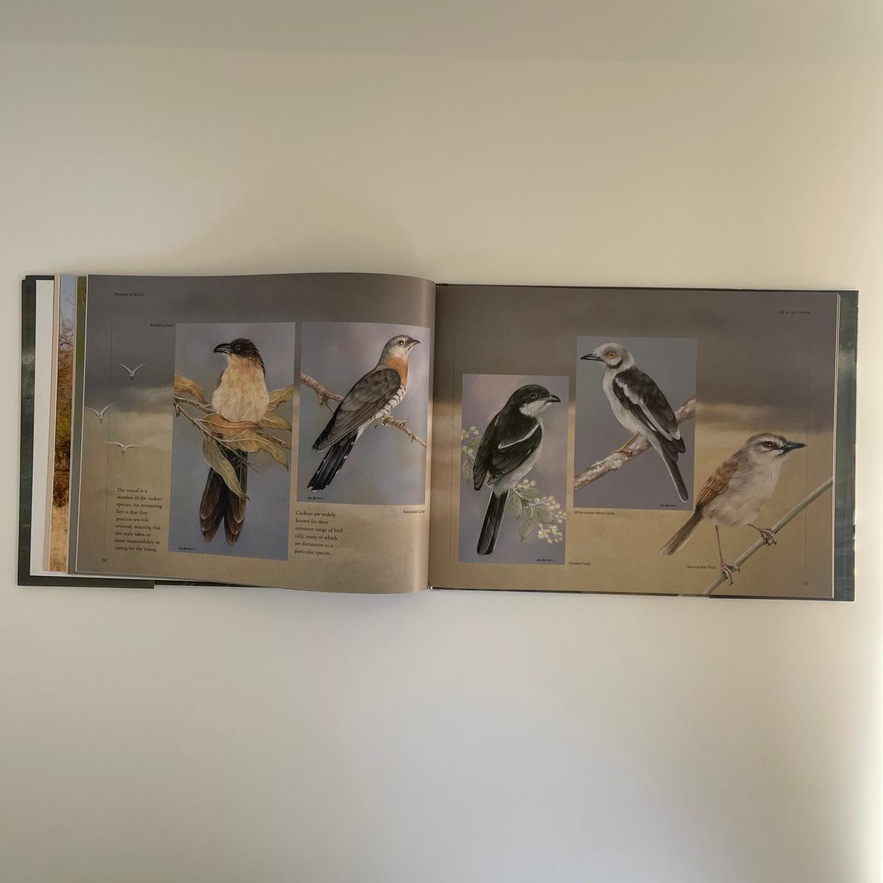 Heavens of Africa - David Elliot Wien (with artist Lisa Halstead)