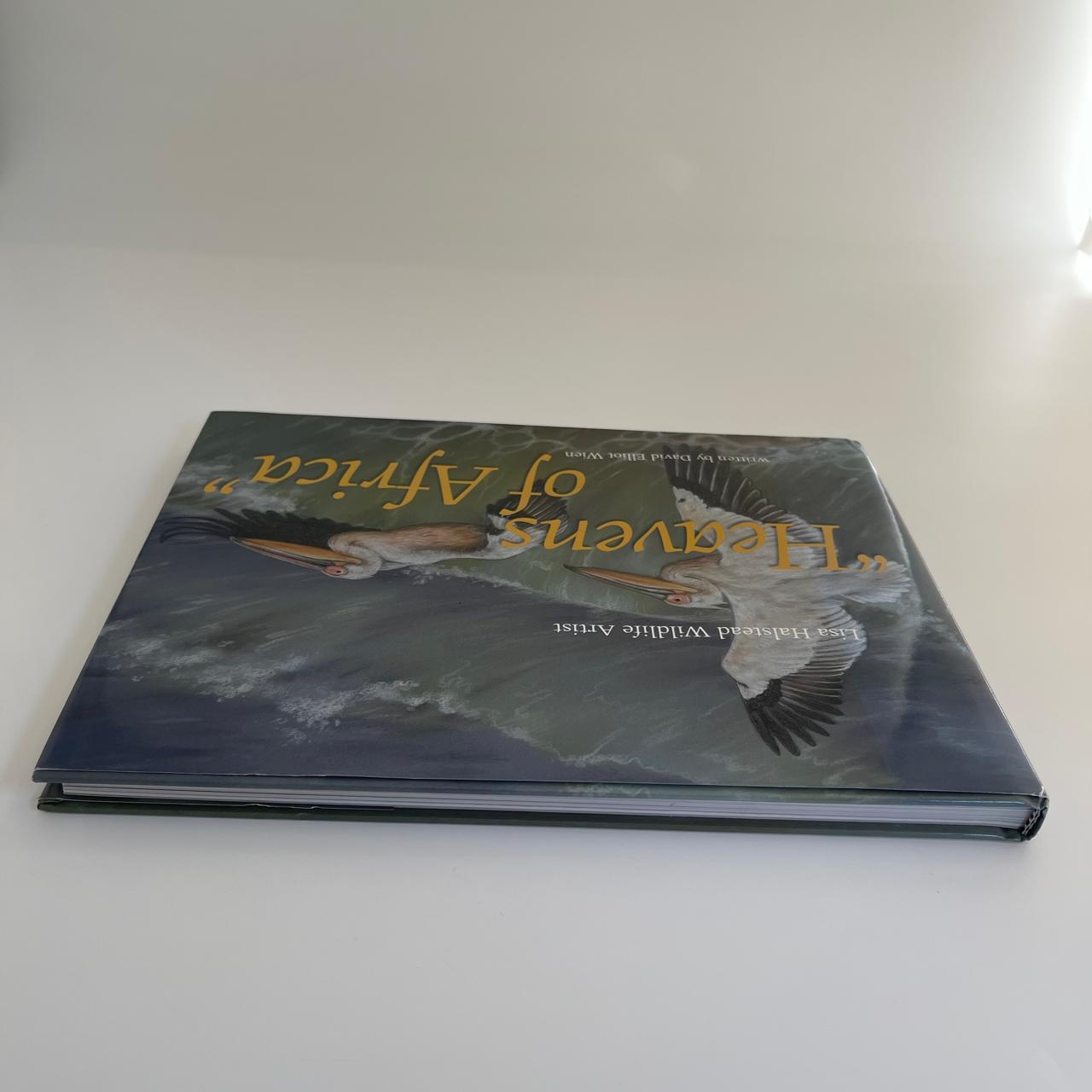 Heavens of Africa - David Elliot Wien (with artist Lisa Halstead)