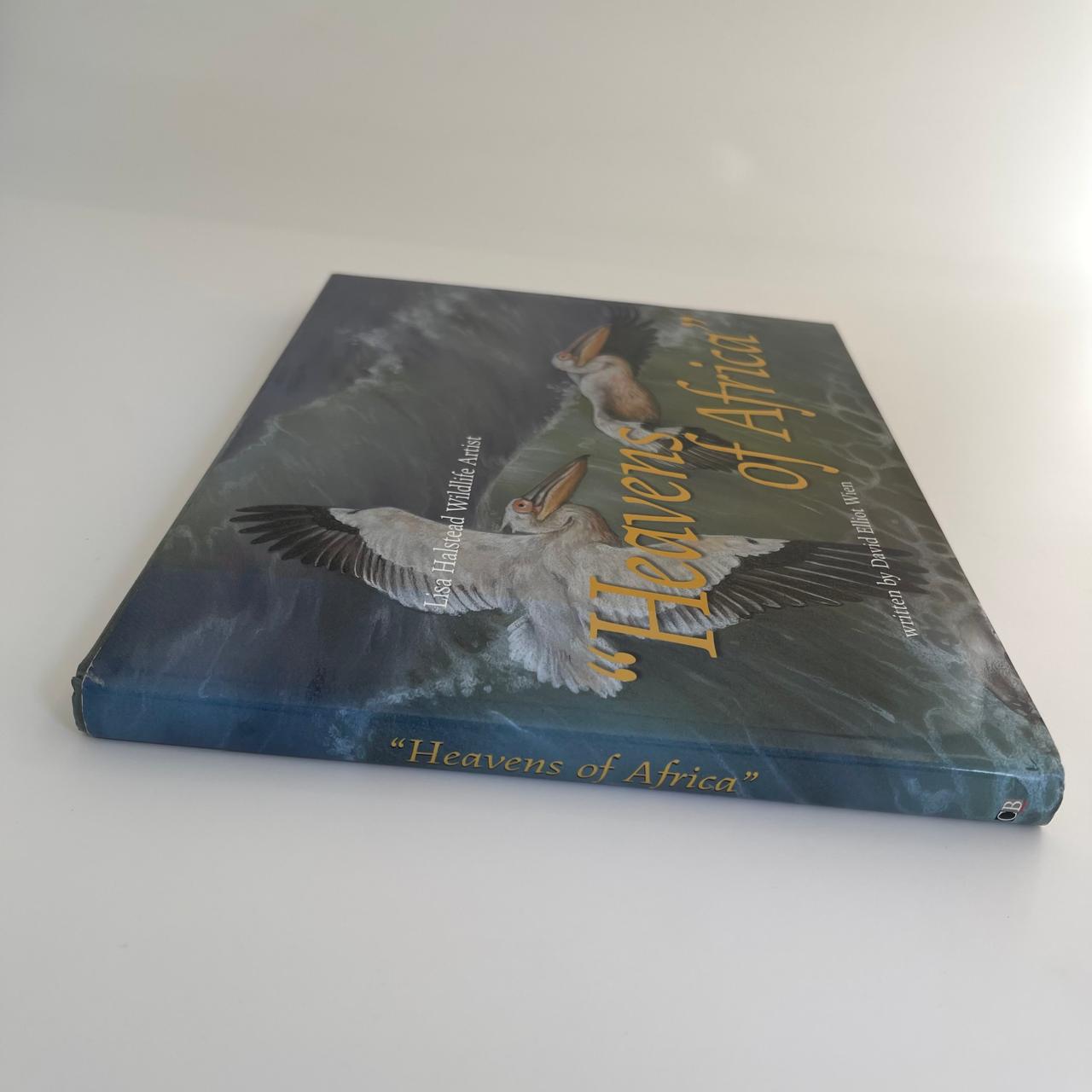 Heavens of Africa - David Elliot Wien (with artist Lisa Halstead)