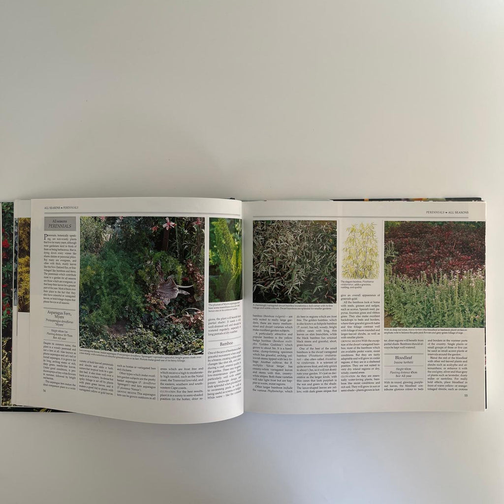 A South African Garden for All Seasons - Reader’s Digest Association