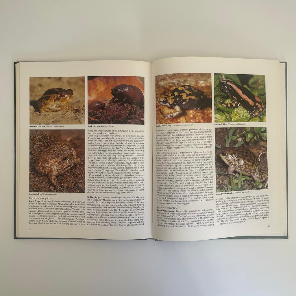Everyone’s Guide to Snakes of Southern Africa – Bill Branch