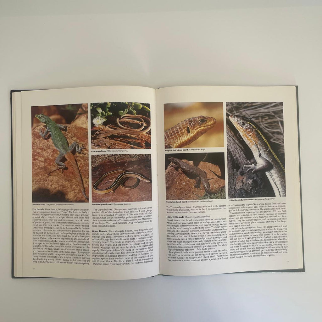 Everyone’s Guide to Snakes of Southern Africa – Bill Branch