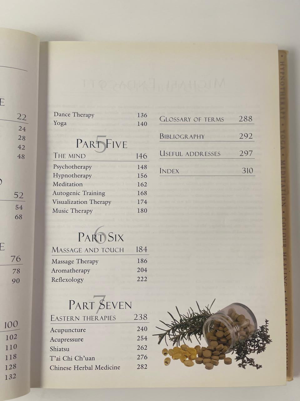 The Encyclopedia of Alternative Health & Natural Remedies