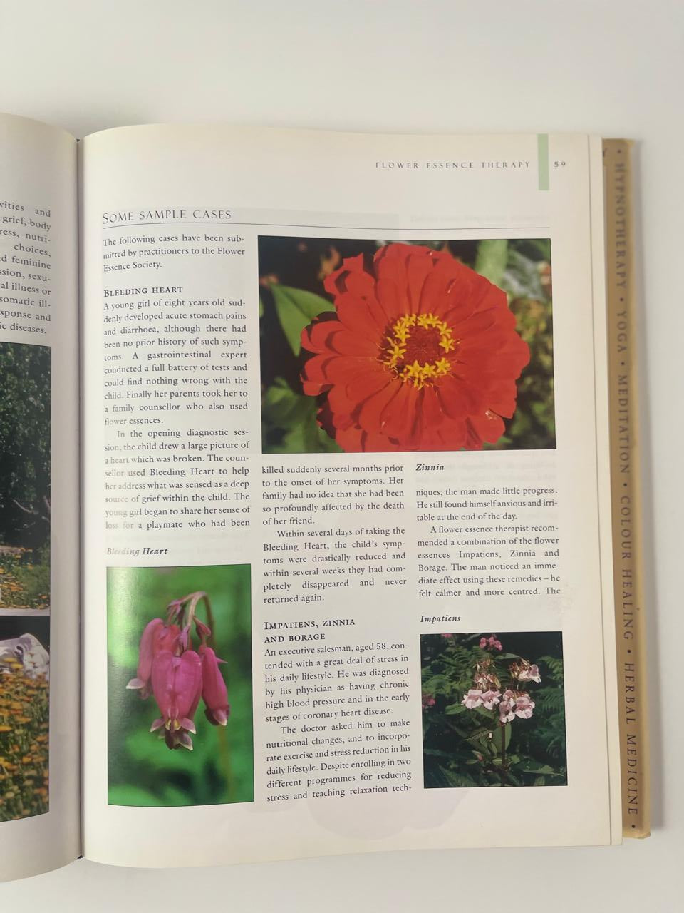 The Encyclopedia of Alternative Health & Natural Remedies