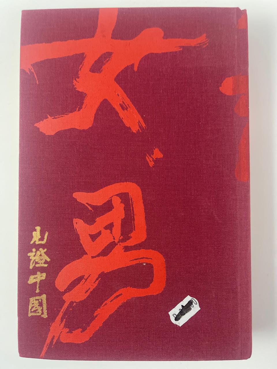 China Witness: Voices From a Silent Generation - Xinran