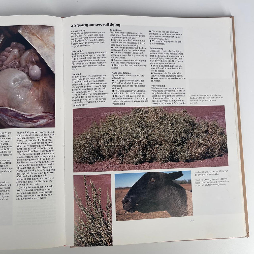 Kleinvee-Siektes - Jan de Wet & Gareth Bath