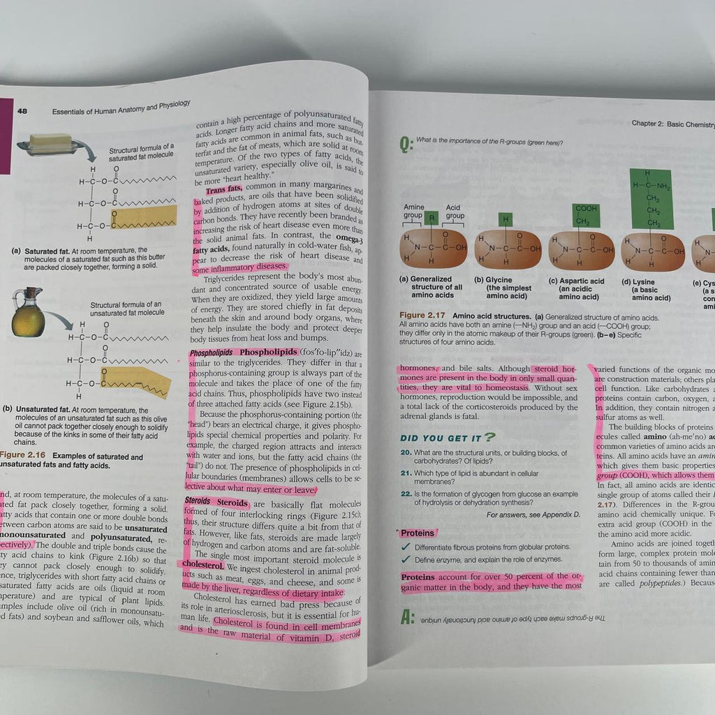 Essentials of Human Anatomy & Physiology - Elaine N. Marieb & Suzanne M. Keller