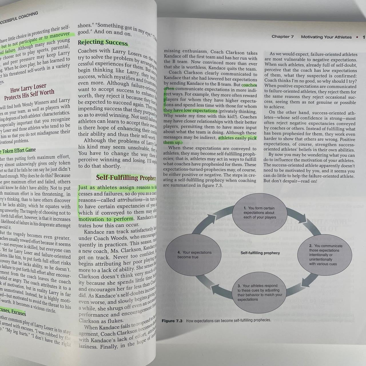 Successful Coaching (Fourth Edition) - Rainer Martens