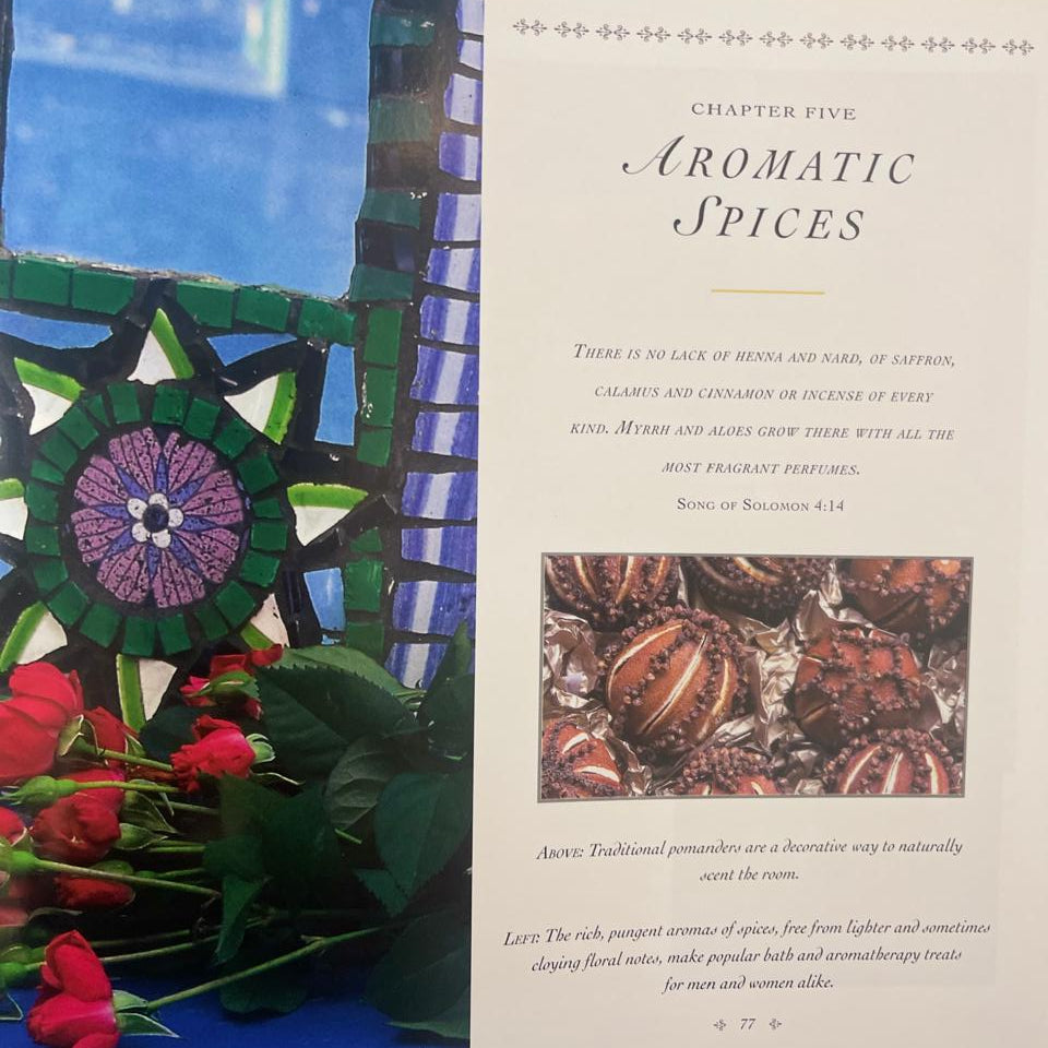 Spicecrafts: Inspirations for Practical Gifts, Crafts and Displays - Tessa Evelegh