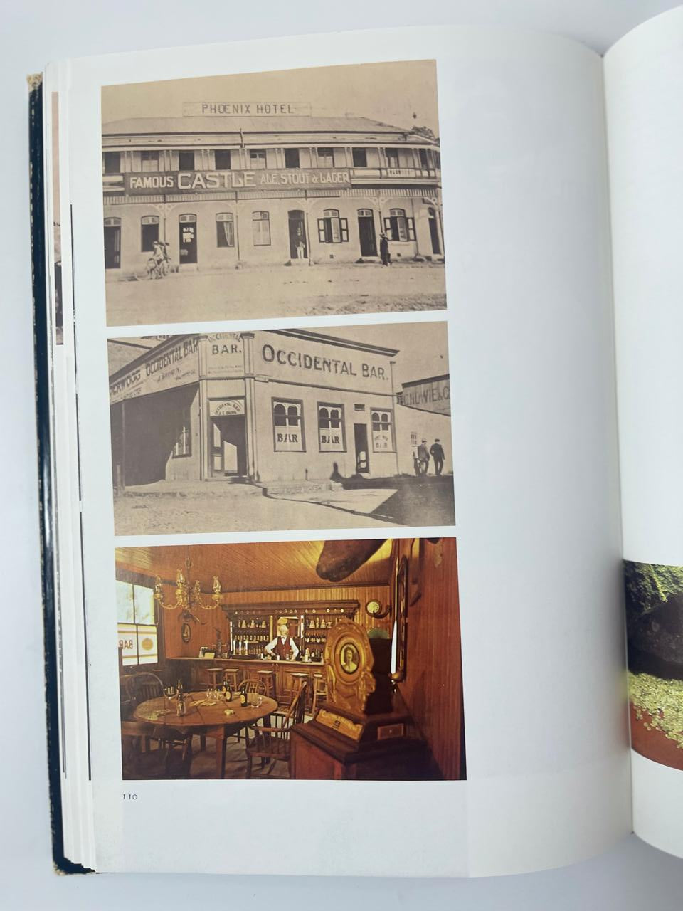 Brandewyn in Suid-Afrika - André P. Brink