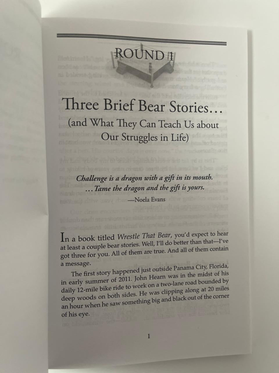 Wrestle That Bear — Dr. Steve W. Price