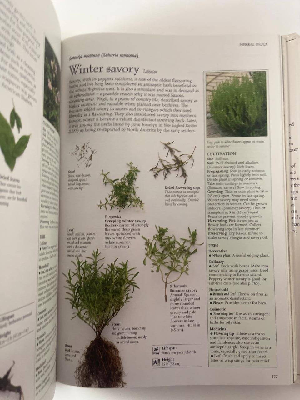 The Complete Book of Herbs - Lesley Bremness