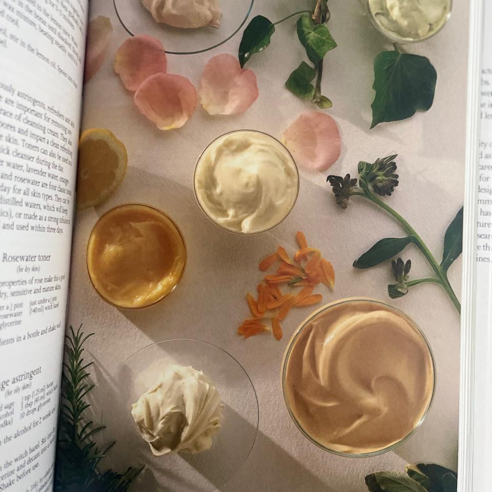 The Complete Book of Herbs - Lesley Bremness