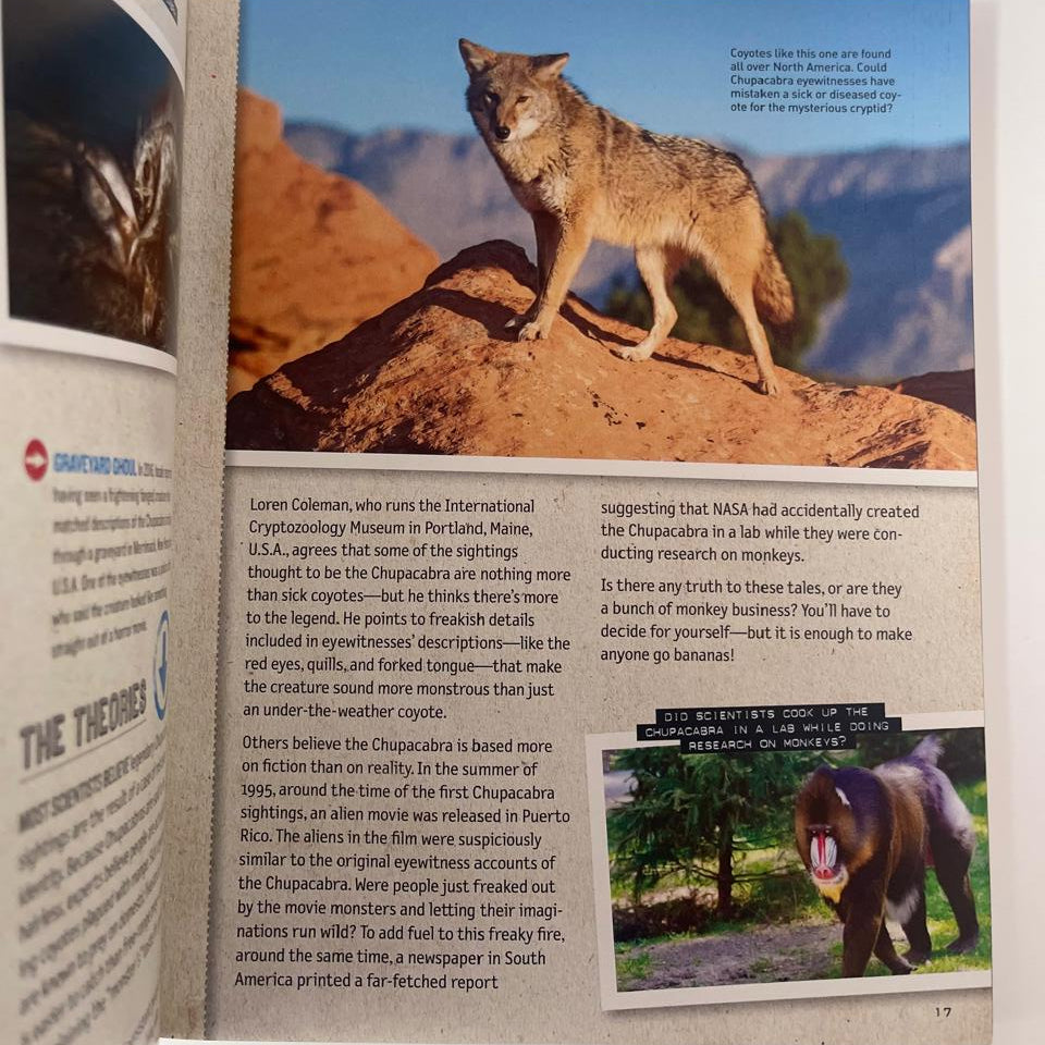 National Geographic Kids: History’s Mysteries – Freaky Phenomena