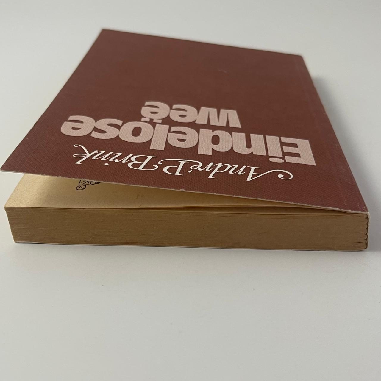 Eindelose Wee - André P. Brink