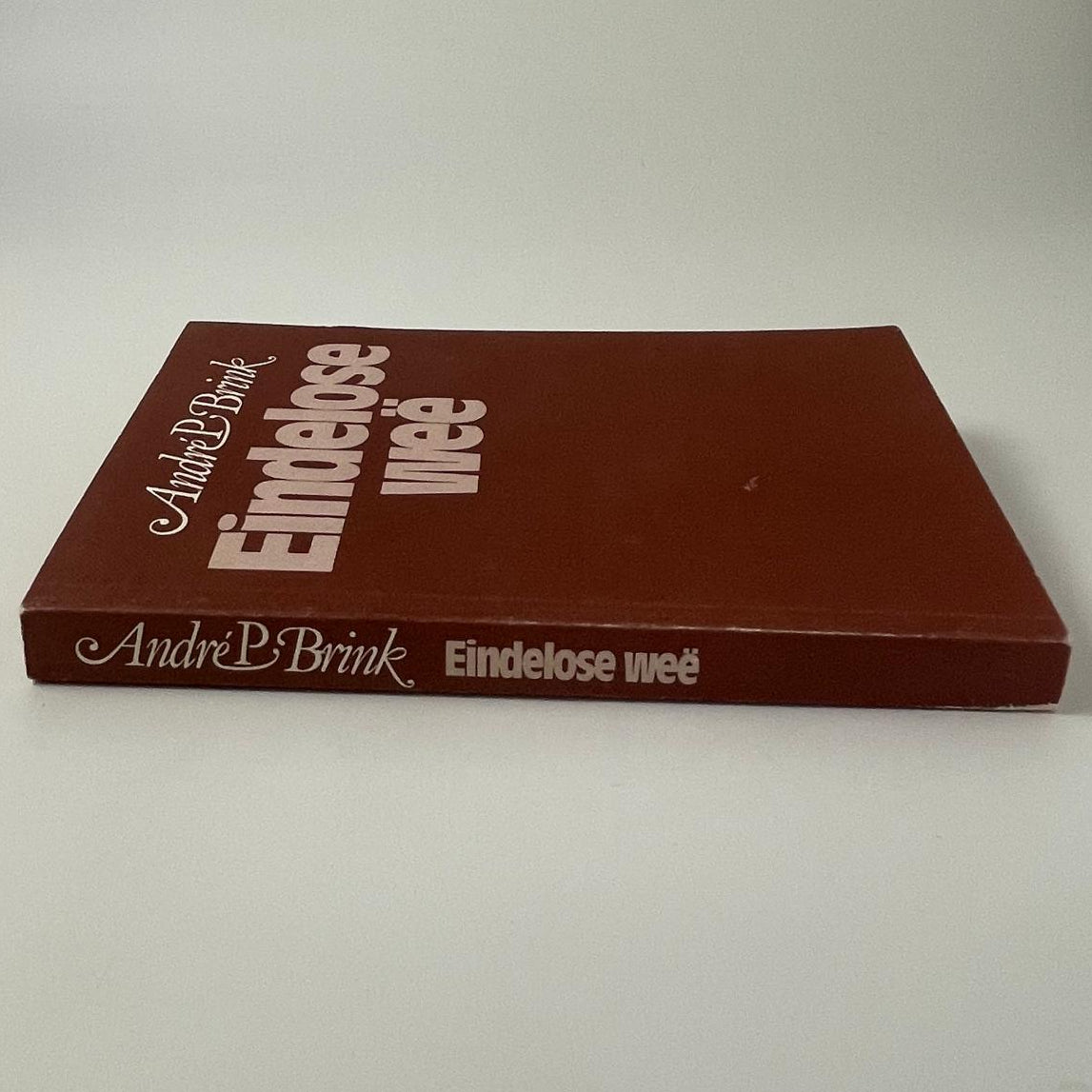 Eindelose Wee - André P. Brink