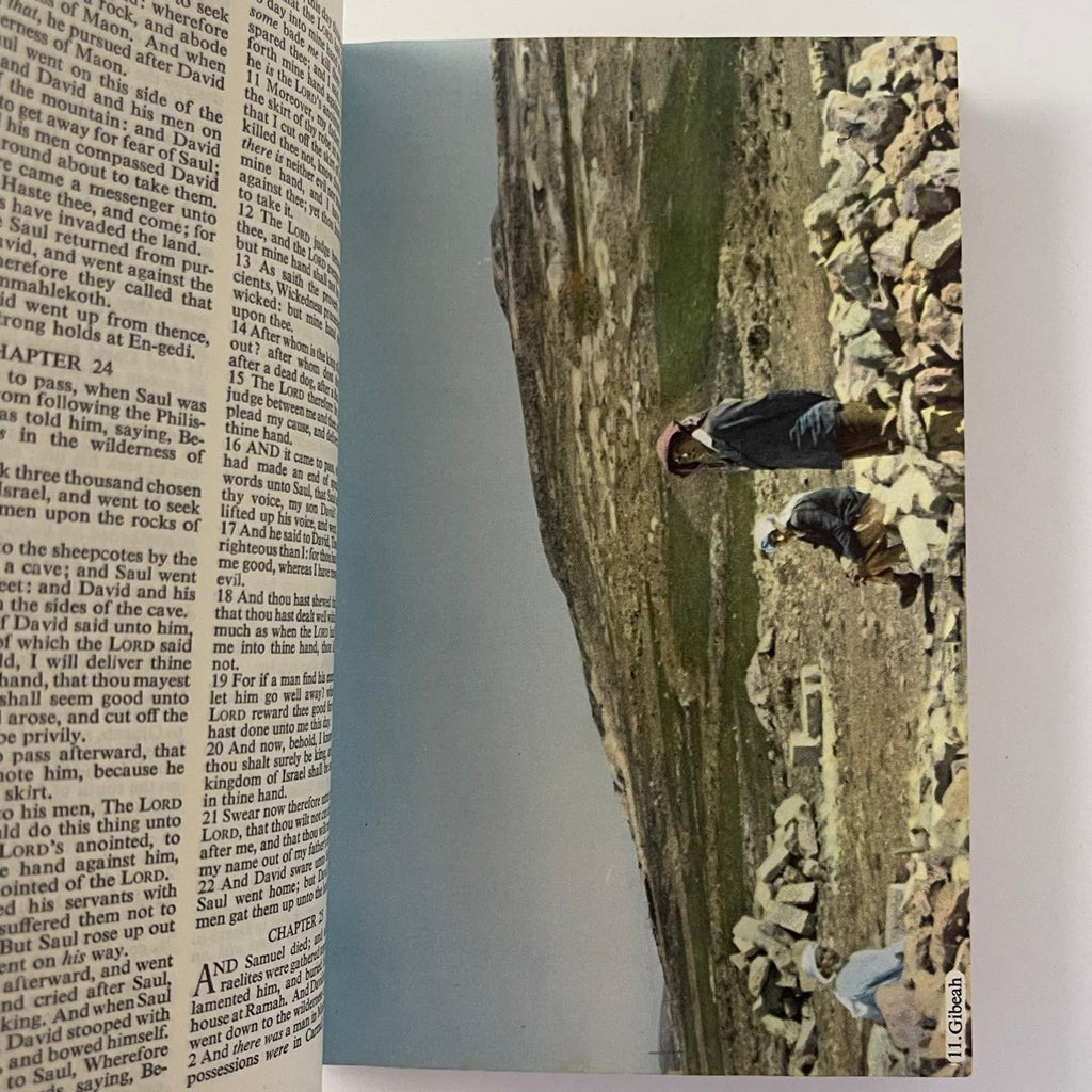 Cambridge Pictorial Bible - Published by the Syndics of Cambridge University Press